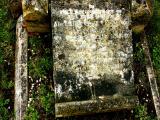 image of grave number 233575
